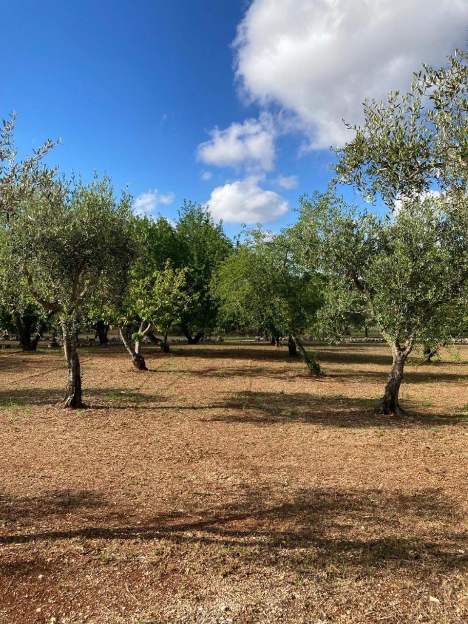 Antica Tenuta Dei Trulli By Qualitravel Alberobello Exteriér fotografie